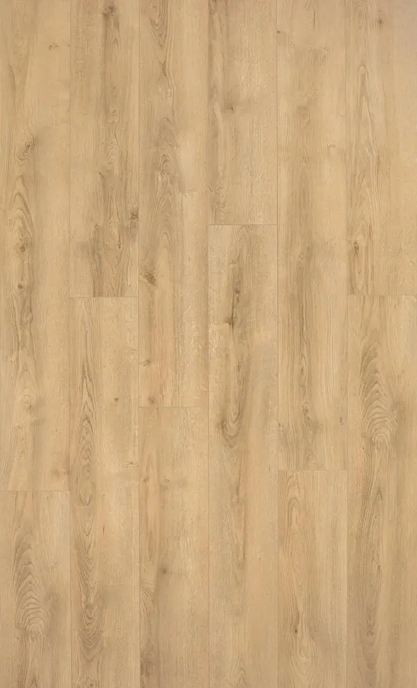 SWISS FLOOR 4V D4539